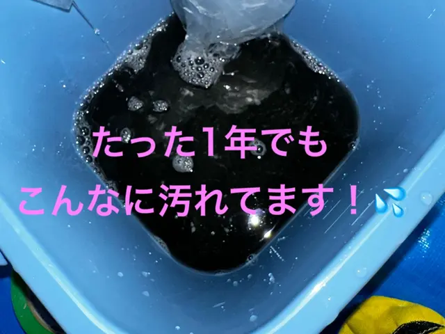 12/15までの特別価格◆駐車代不要◆幼児やペットにも安心の薬剤◆代表が伺いますサービスの画像