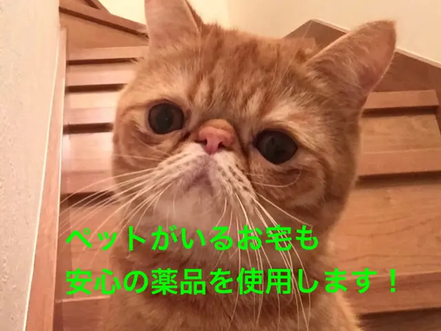 12/15までの特別価格◆駐車代不要◆幼児やペットにも安心の薬剤◆代表が伺いますサービスの画像