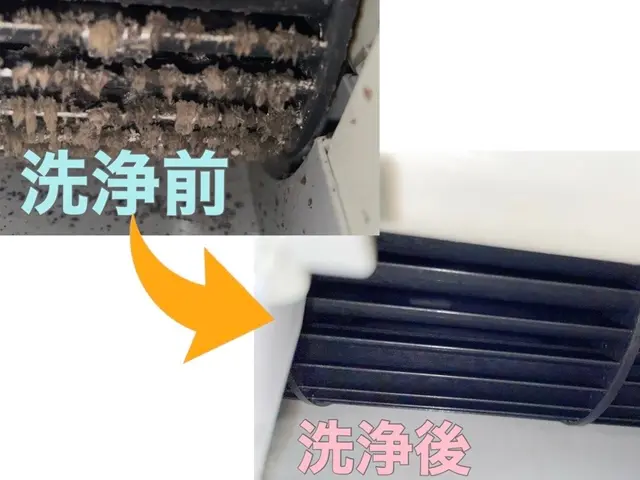 12/15までの特別価格◆駐車代不要◆幼児やペットにも安心の薬剤◆代表が伺いますサービスの画像