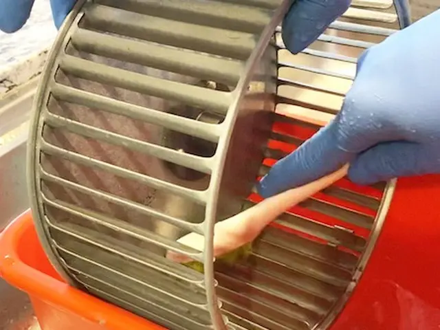 今だけ特価　おそうじ革命大阪鶴見緑地店【オリコン満足度調査6年連続1位を獲得 】サービスの画像