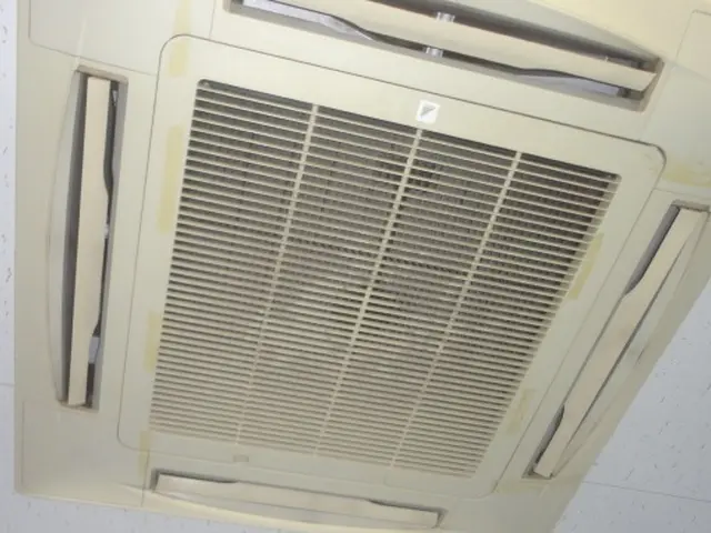 【天井埋め込みエアコンクリーニング】お家の手に負えない汚れは当店へお任せ下さいサービスの画像