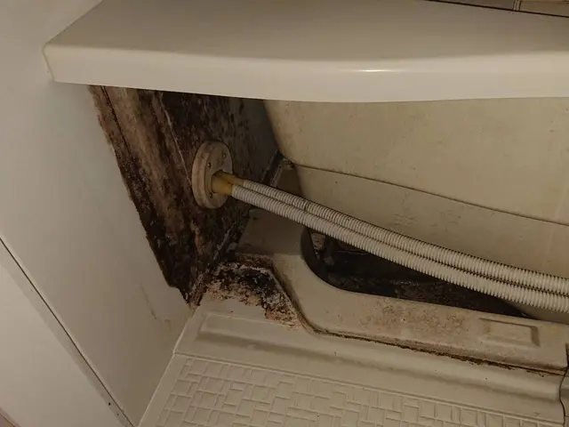 すべて自社対応◎損害保険加入済み！訪問時の駐車場代は当店が負担します♪サービスの画像