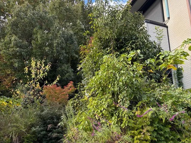 イメージ通りに仕上げる丁寧な作業でお客様満足度の高いプロによる安心サービスサービスの画像