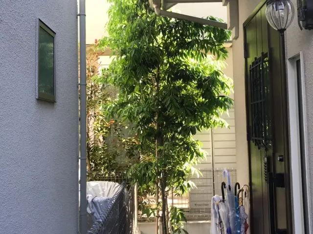 ＜年中無休＞東京都を中心に対応しております。ご要望・ご予算に合わせて丁寧に対応◎サービスの画像