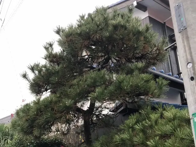 ＜年中無休＞東京都を中心に対応しております。ご要望・ご予算に合わせて丁寧に対応◎サービスの画像