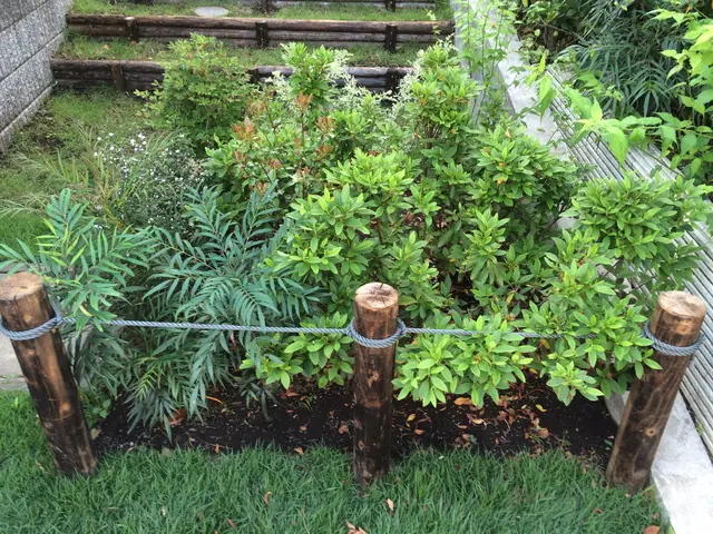 新植、移植、補植等の作業、植栽地のデザインや適した植物材料の提案を行います。サービスの画像