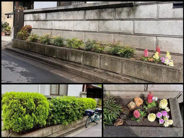 新植、移植、補植等の作業、植栽地のデザインや適した植物材料の提案を行います。サービスの画像