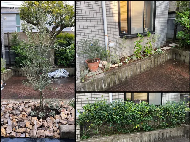 新植、移植、補植等の作業、植栽地のデザインや適した植物材料の提案を行います。サービスの画像