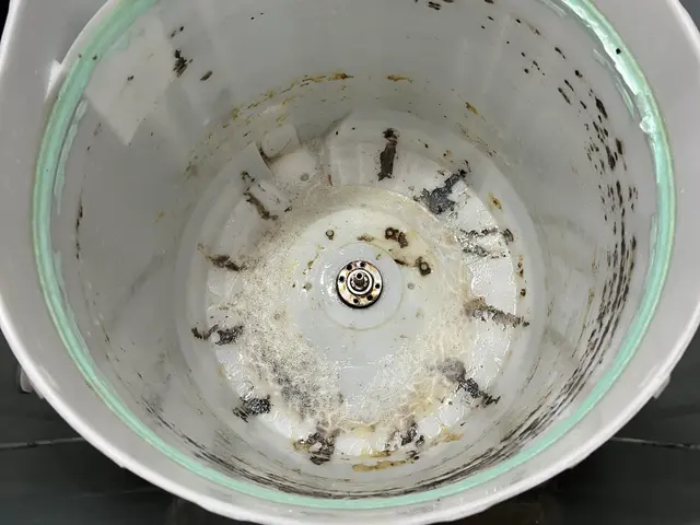 洗濯槽内部の汚れカビのクリーニング【自社対応◎】サービスの画像