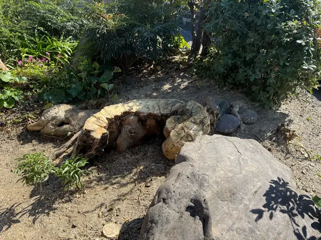 丁寧な仕上がりとアフターフォロー万全の出張サービスサービスの画像