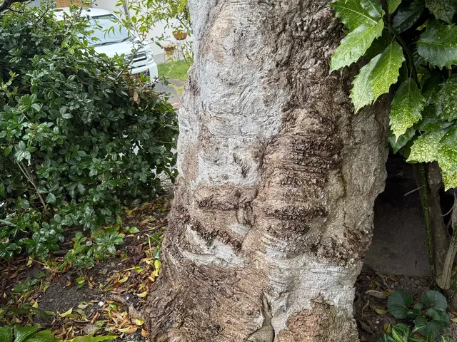 丁寧な仕上がりとアフターフォロー万全の出張サービスサービスの画像