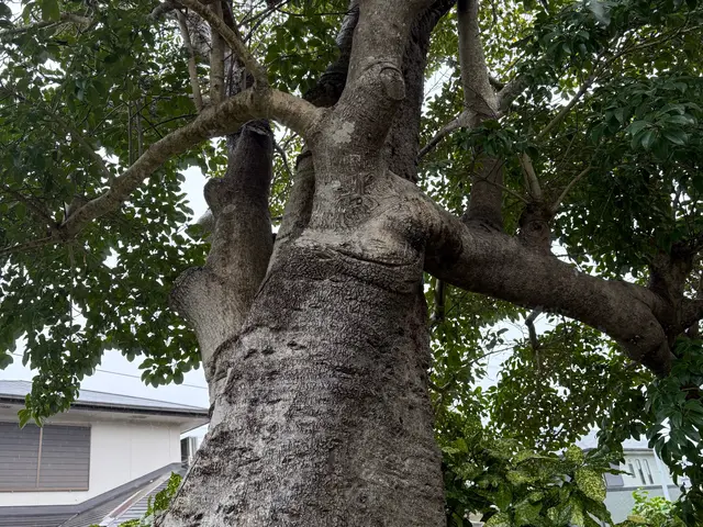 丁寧な仕上がりとアフターフォロー万全の出張サービスサービスの画像