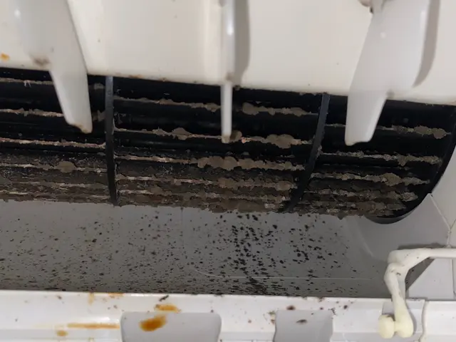 複数台でさらにお得に★損害保険加入！サービスの画像