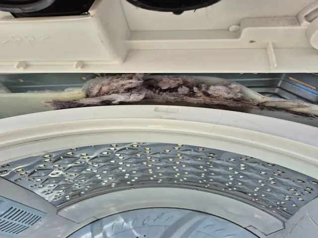 完全分解クリーニング　引越し時のクリーニングも対応可！サービスの画像