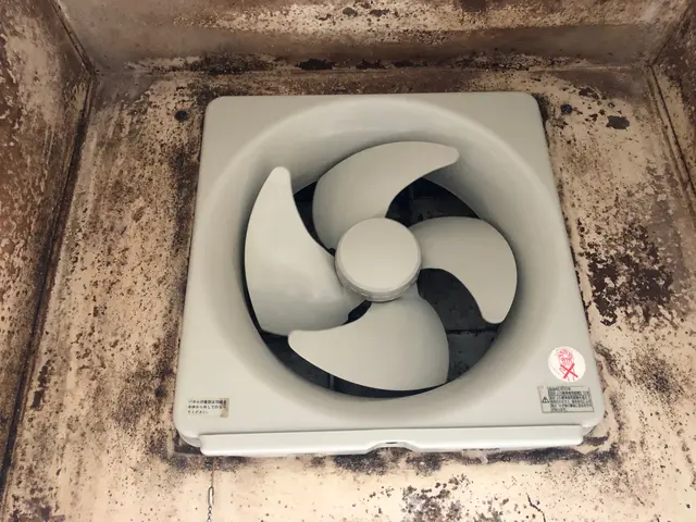 丁寧な作業とプロの技術で確かな仕上がり ◎損害保険加入済み◎忙しい奥様の味方ですサービスの画像