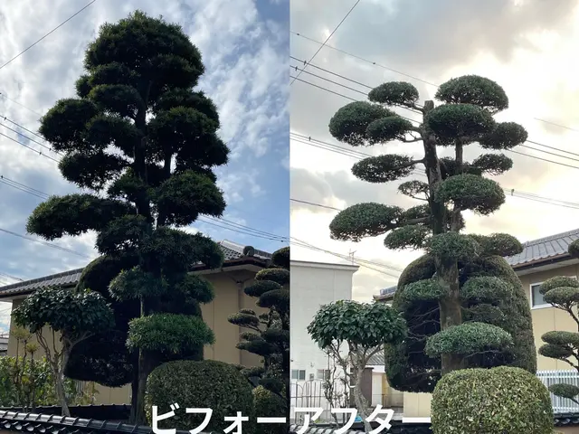 11月受付しています★お庭を楽しむきっかけづくり★お庭のことお客様に寄り添いますサービスの画像