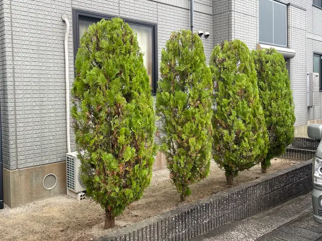 4月受付しています★お庭を楽しむきっかけづくり★お庭のことお客様に寄り添いますサービスの画像