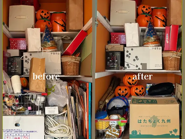 ライフオーガナイザーがサポート　家全体を見渡して「希望を叶える」お片付けサービスの画像