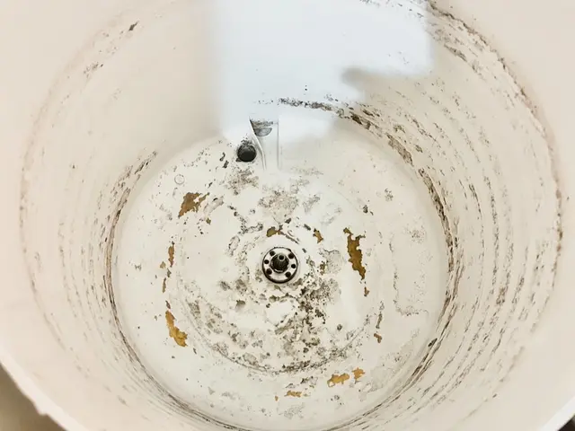 洗濯機を知り尽くした分解洗浄のプロのお店【安心の法人店舗】【選べるプラン】サービスの画像