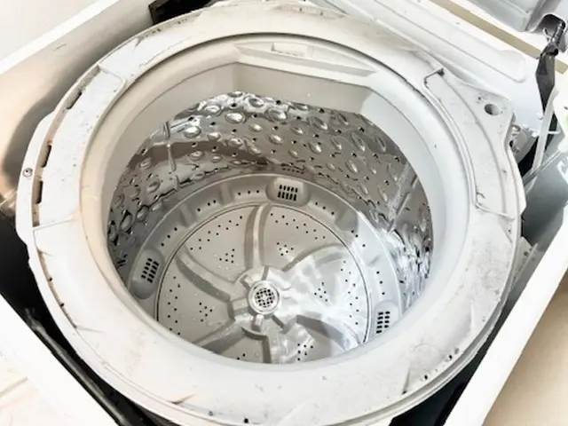 洗濯機を知り尽くした分解洗浄のプロのお店【安心の法人店舗】【選べるプラン】サービスの画像