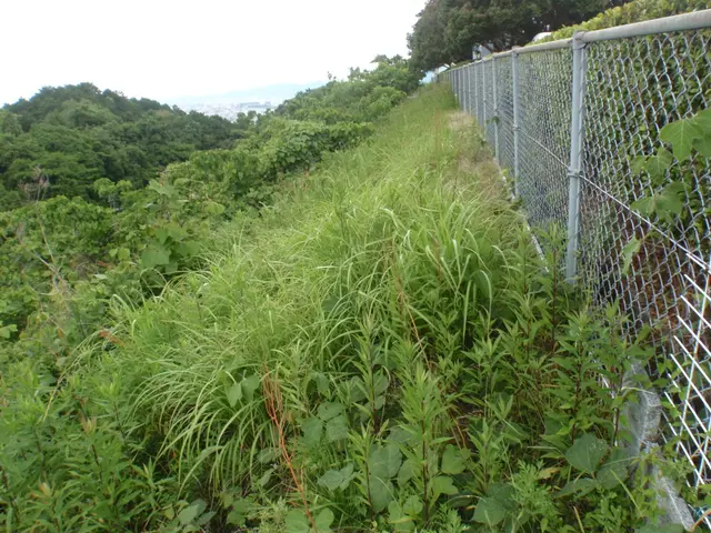 経験と知識を活かして迅速丁寧に作業いたしますサービスの画像