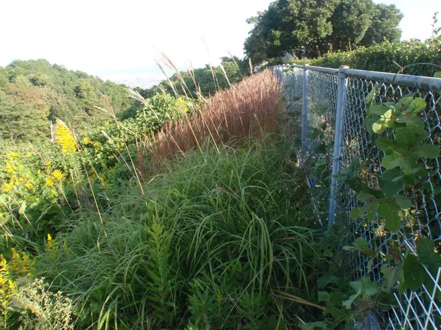 経験と知識を活かして迅速丁寧に作業いたしますサービスの画像