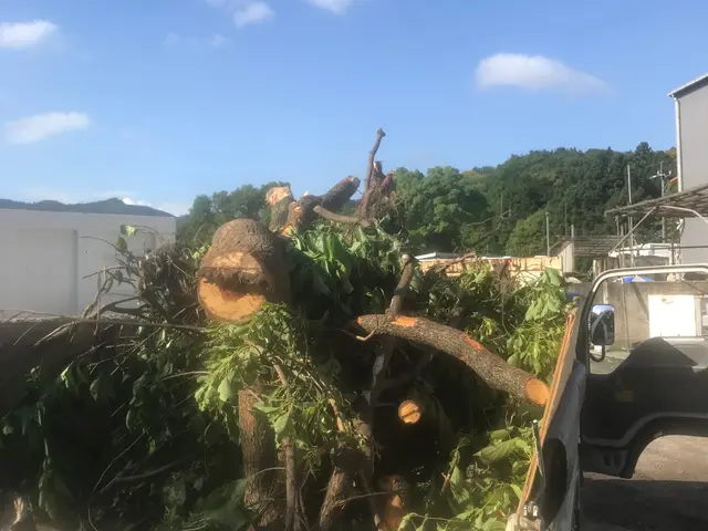 お庭スッキリリフレッシュ。サービスの画像