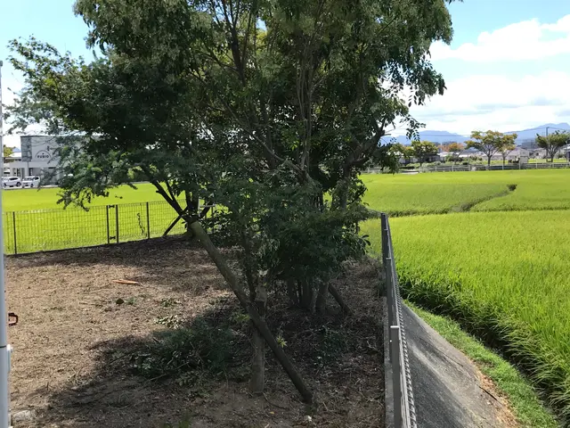 お庭スッキリリフレッシュ。サービスの画像