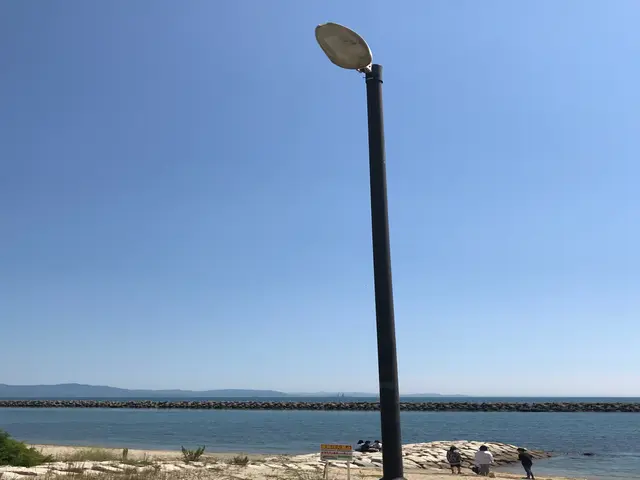 【作業外注一切なし！】高所の電球交換！クレカ・PayPay対応！サービスの画像