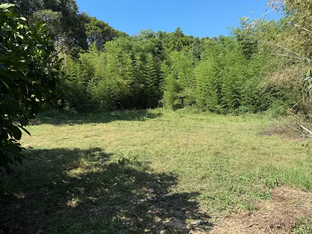 【6年の実績】お庭まるごとトータルコーディネート！営業時間外も相談OKサービスの画像