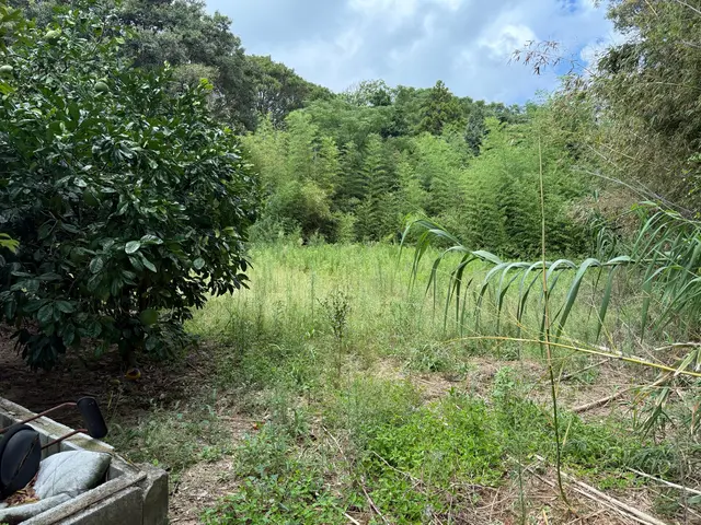 【6年の実績】お庭まるごとトータルコーディネート！営業時間外も相談OKサービスの画像