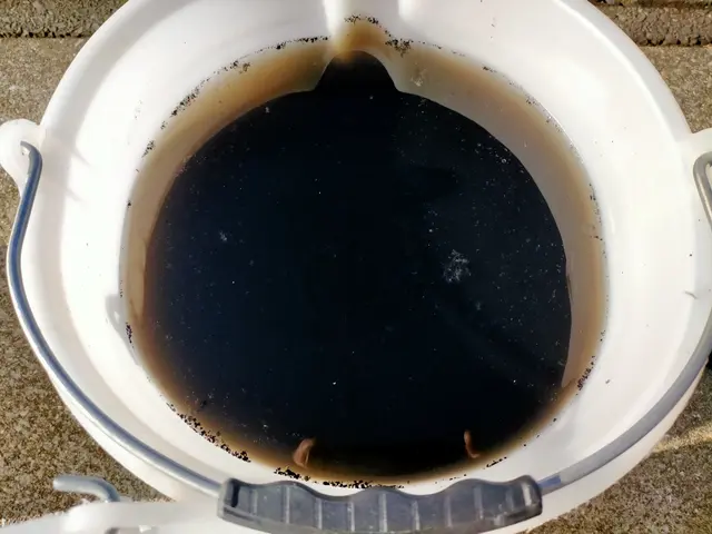 ＜宮崎市発＞★空間除菌施工も承ります★きれいな空気をご提供！サービスの画像