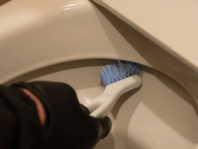 【3月限定！水回り5点まとめてお得に徹底洗浄】サービスの画像