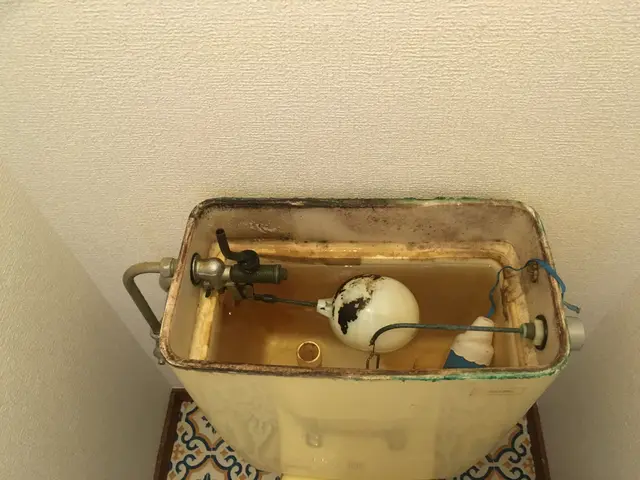 便器・便座はもちろん、タンク内や壁・床も丁寧に綺麗にします。サービスの画像