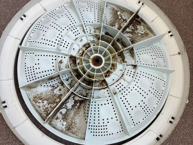 新規出店特別価格！洗浄後も安心の保証あり！洗濯機リセット！カビも臭いも初期化！サービスの画像