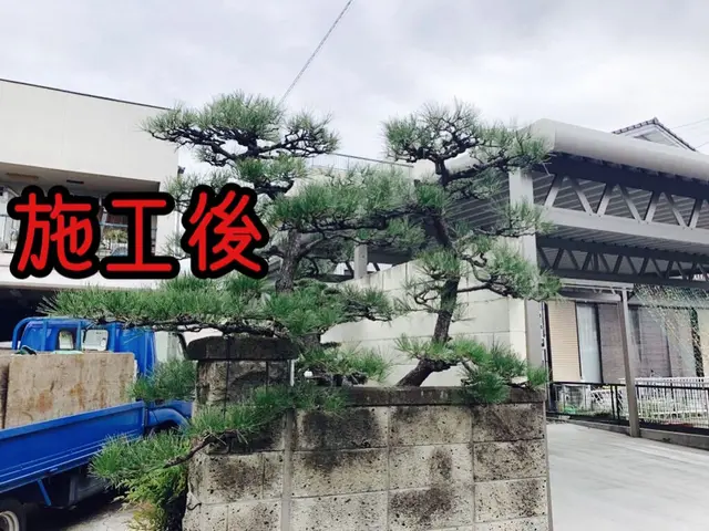 【写真見積もり可】任せて安心頼んでよかった！と思われる庭木の剪定　臨機応変に対応サービスの画像