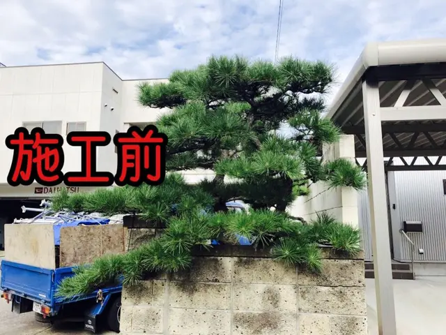 【写真見積もり可】任せて安心頼んでよかった！と思われる庭木の剪定　臨機応変に対応サービスの画像