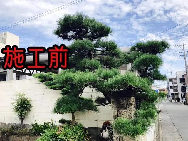 【写真見積もり可】任せて安心頼んでよかった！と思われる庭木の剪定　臨機応変に対応サービスの画像