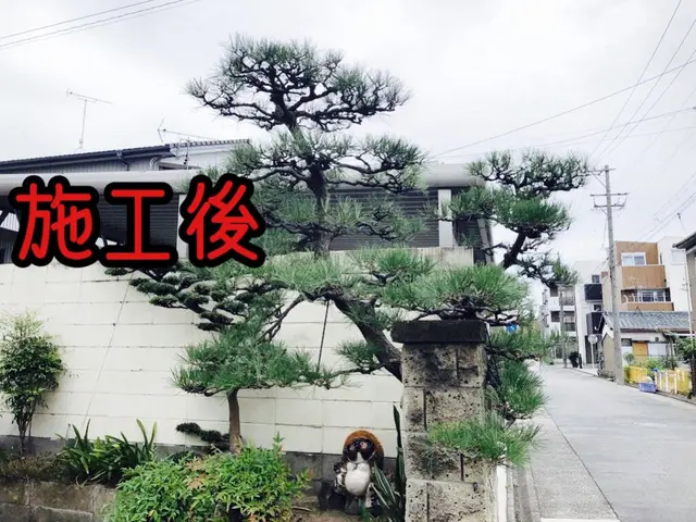 【写真見積もり可】任せて安心頼んでよかった！と思われる庭木の剪定　臨機応変に対応サービスの画像