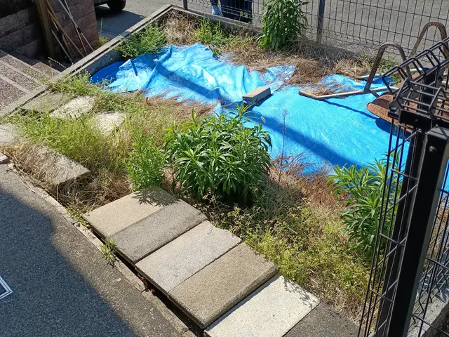 これからの季節面倒な草むしりお任せ下さい。丁寧にむしりますサービスの画像