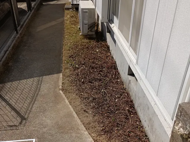 これからの季節面倒な草むしりお任せ下さい。丁寧にむしりますサービスの画像