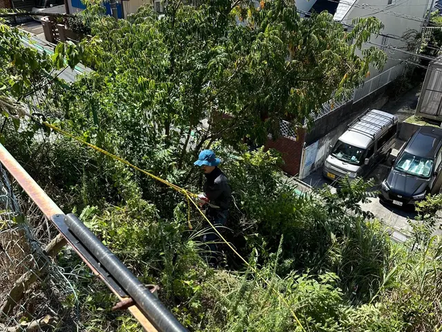 空き地、空き家、急な法面、外壁ツル剥がし、なんでもお任せ下さいサービスの画像