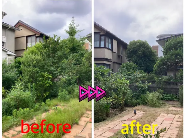 空き地、空き家、急な法面、外壁ツル剥がし、なんでもお任せ下さいサービスの画像