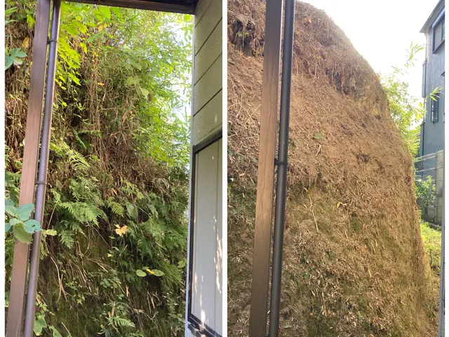 空き地、空き家、急な法面、外壁ツル剥がし、なんでもお任せ下さいサービスの画像