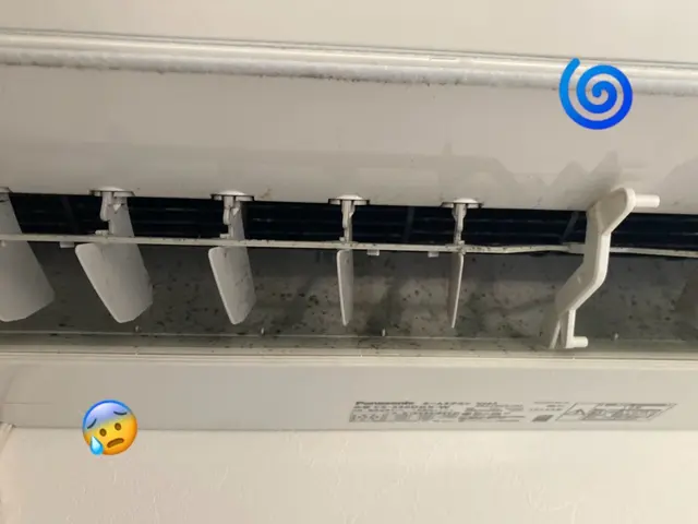 今だけ！【2台以上大幅割引き☆】抗菌コート大サービス価格☆女性スタッフ同行可能！サービスの画像