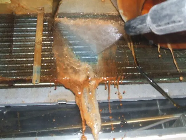 ◎高圧”Ｗ”洗浄◎安心の仕上り保証店！今なら抗菌コート込でこの価格です！複割も♪サービスの画像