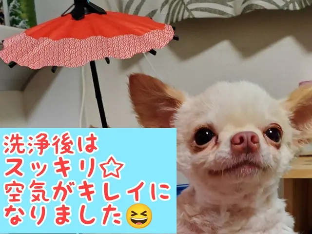 【アワード入賞店】はじめてでも安心して頼めるお店です◎PayPay◎サービスの画像