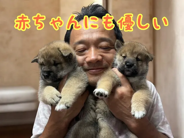 【夏前にエアコンクリーニング】店長が訪問｜PayPay可｜ワンちゃんも歓迎サービスの画像