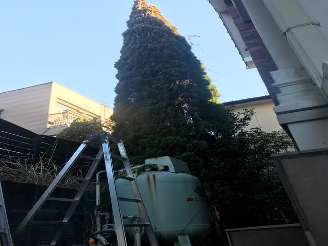 (アワード2024剪定部門入選！)お客様のご要望を最優先！地域密着で安心☆サービスの画像