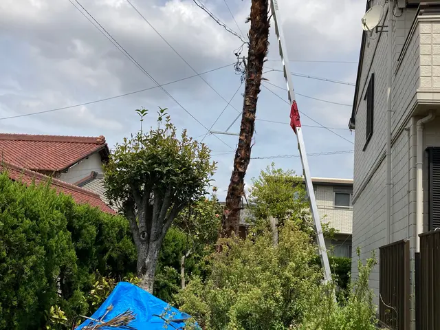 (アワード2024剪定部門入選！)お客様のご要望を最優先！地域密着で安心☆サービスの画像